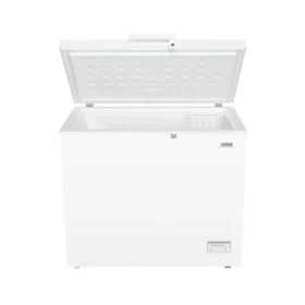 فريزر ارضي هام