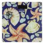 ميزان الجسم