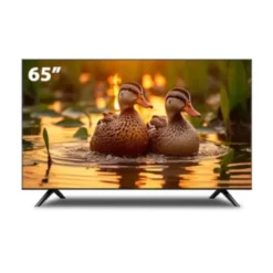 شاشه 65 بوصه
